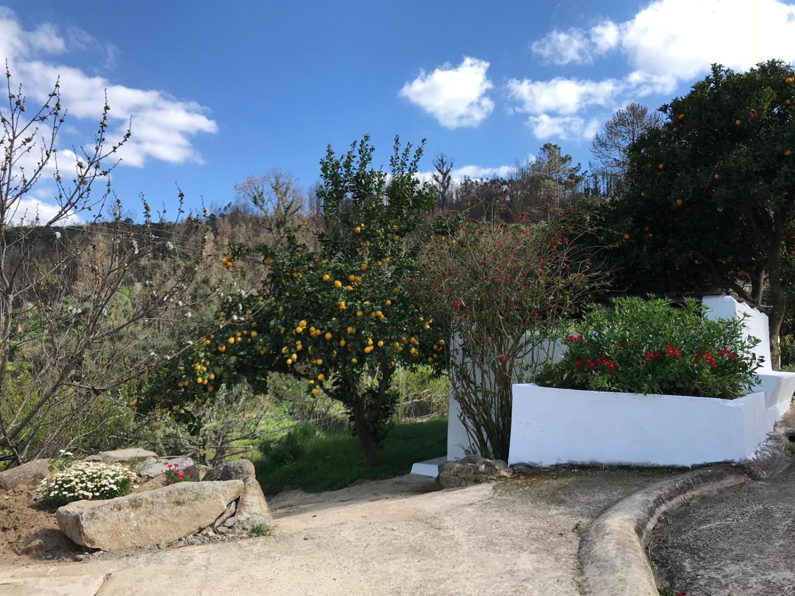 Villa Casas Bemposta Monchique Esterno foto