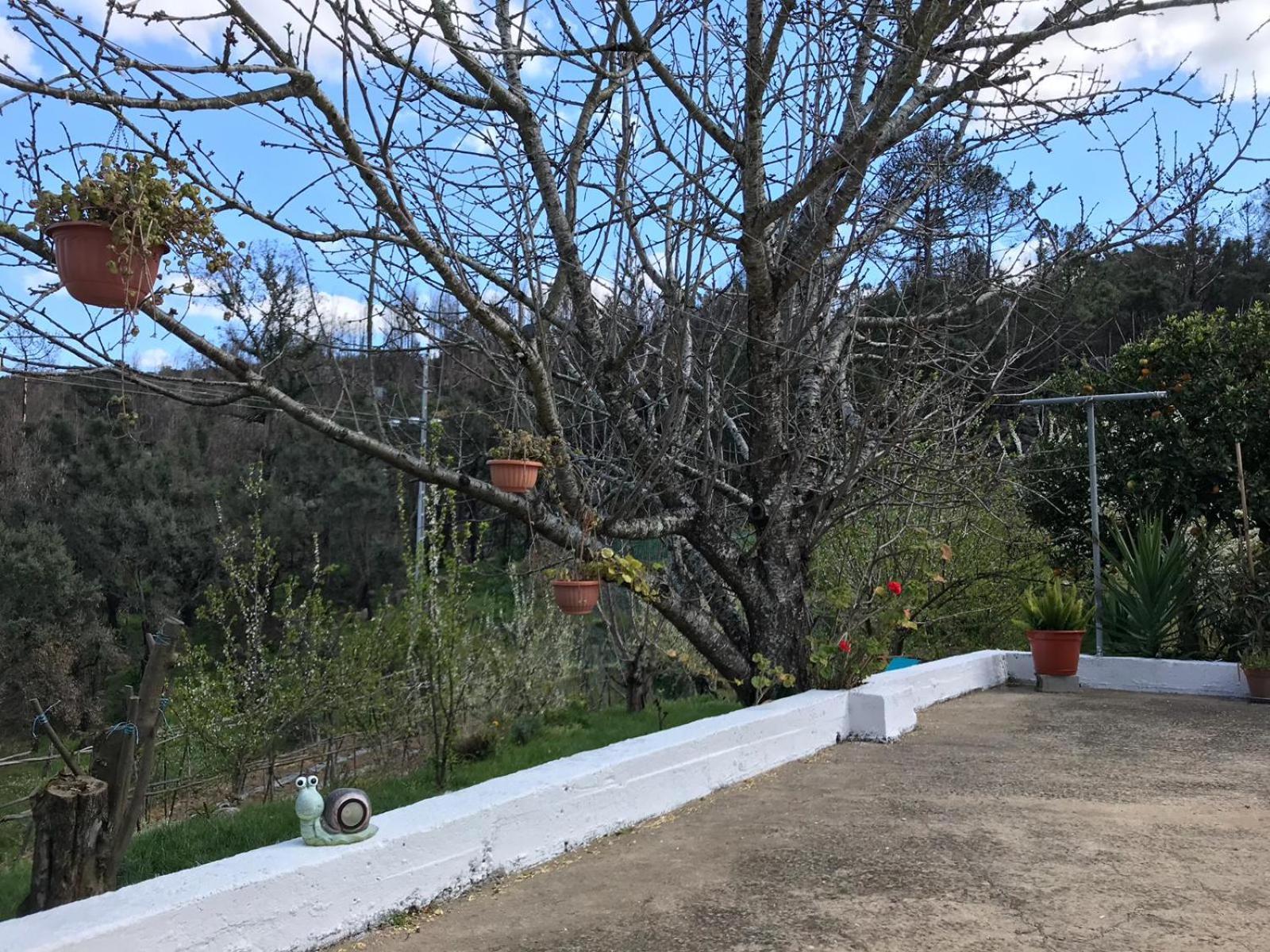 Villa Casas Bemposta Monchique Esterno foto
