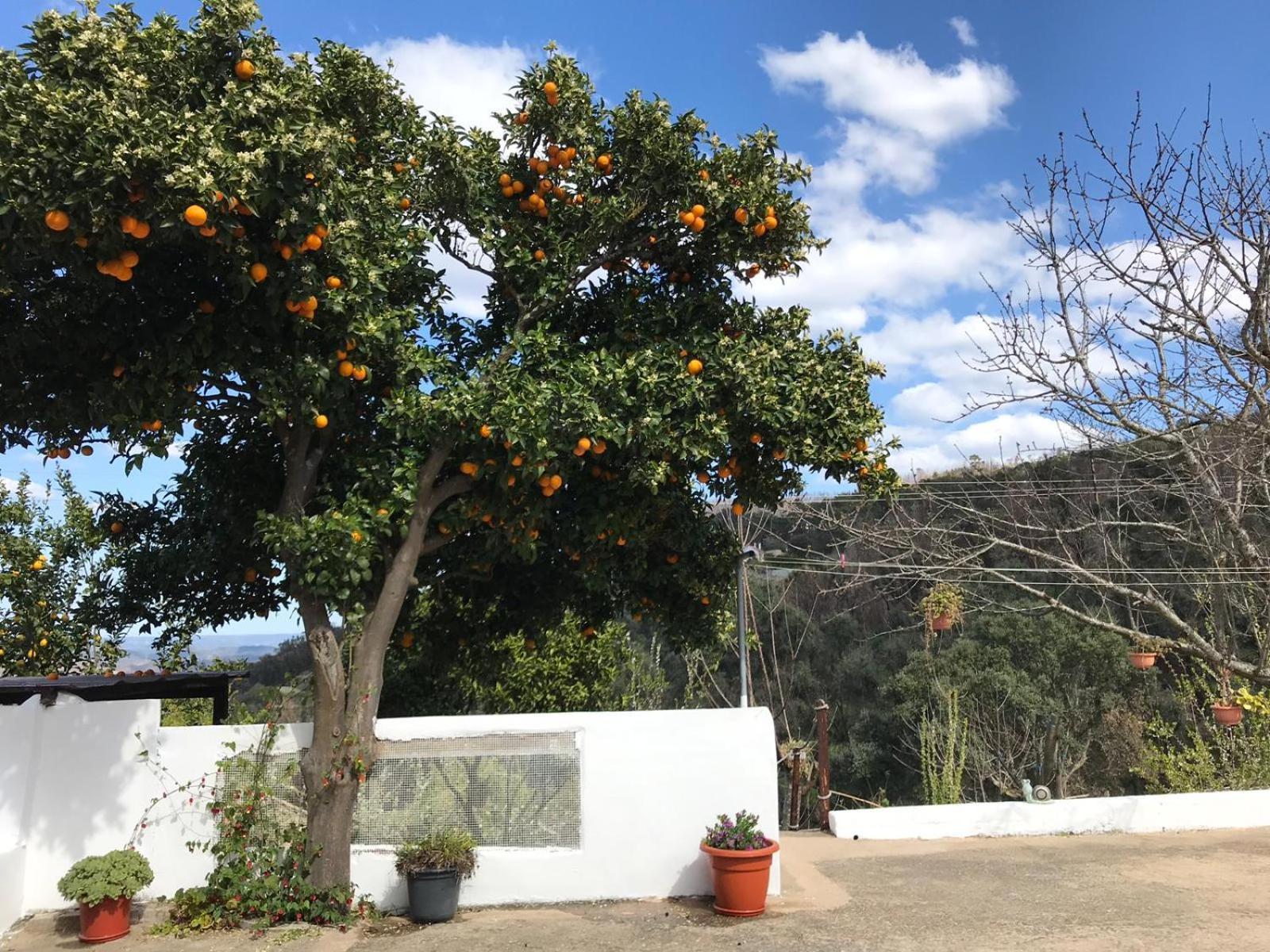 Villa Casas Bemposta Monchique Esterno foto