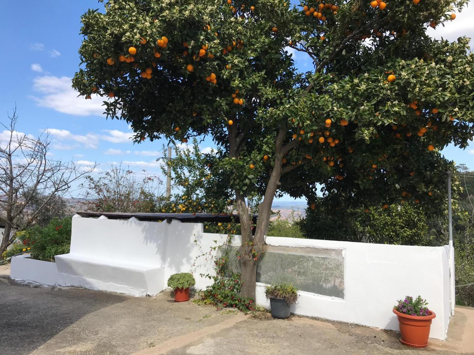 Villa Casas Bemposta Monchique Esterno foto
