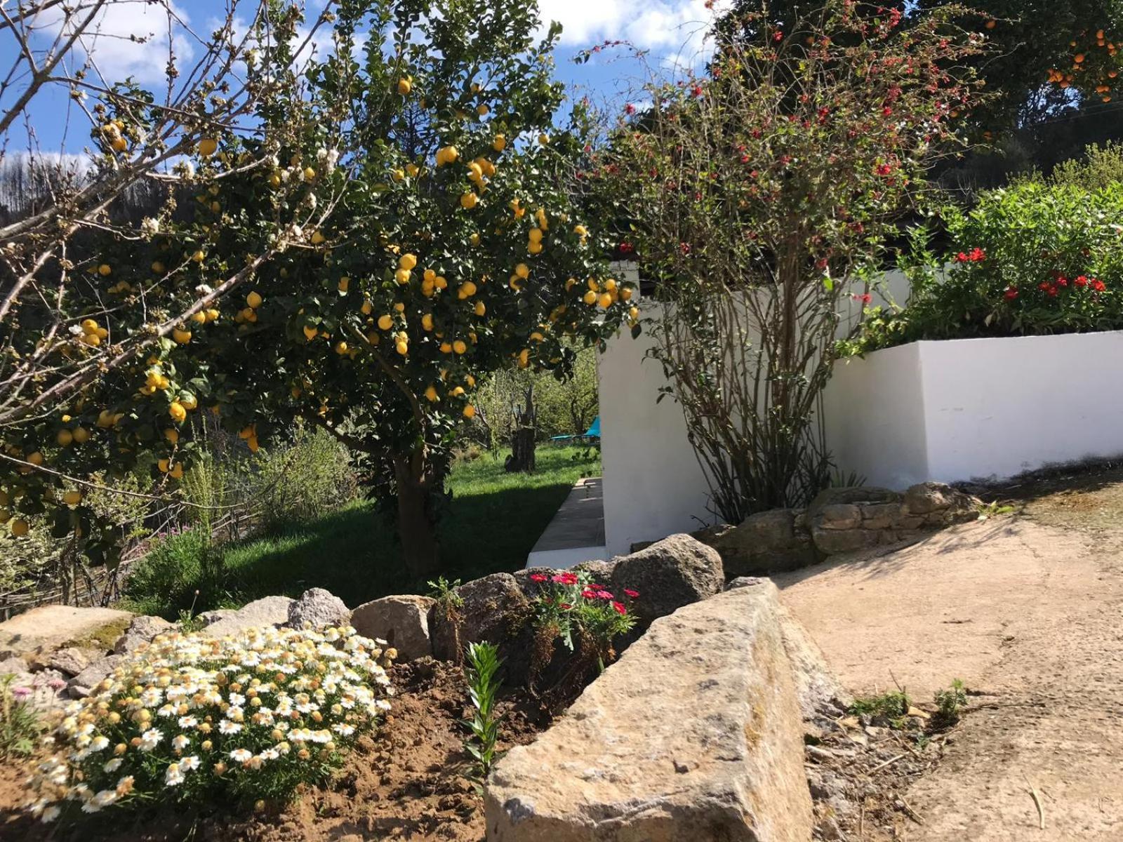 Villa Casas Bemposta Monchique Esterno foto