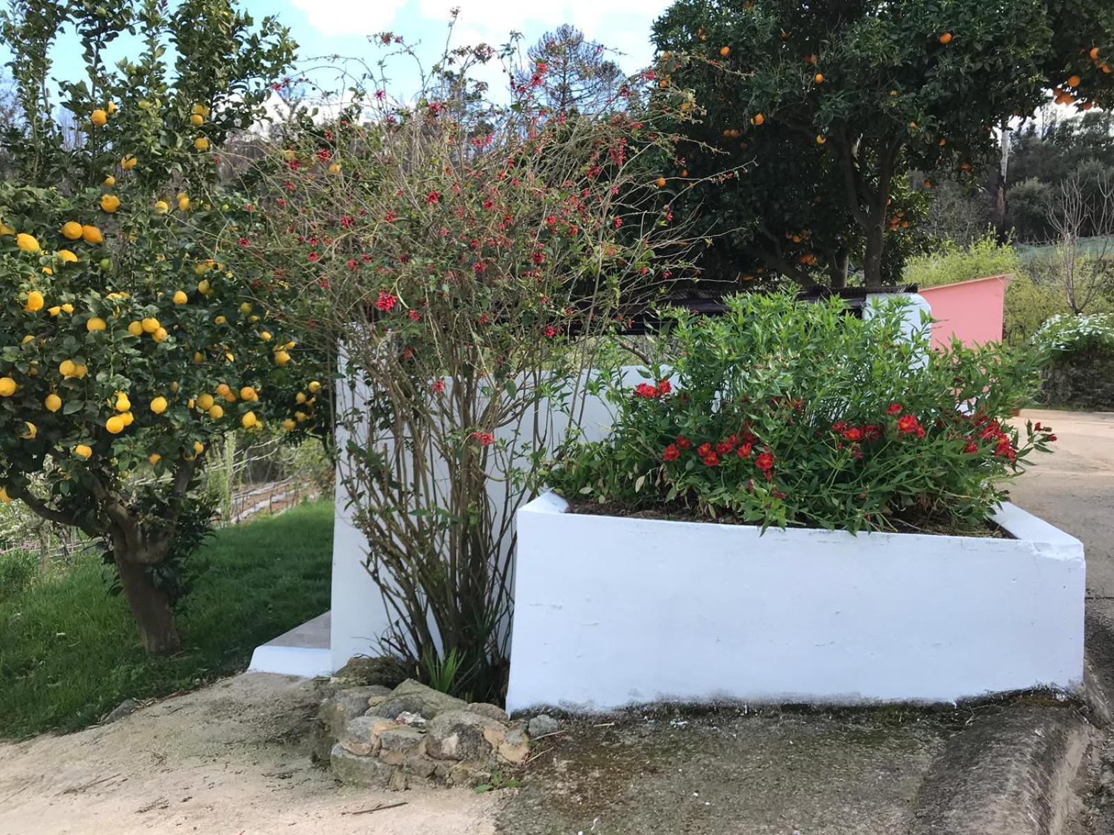 Villa Casas Bemposta Monchique Esterno foto